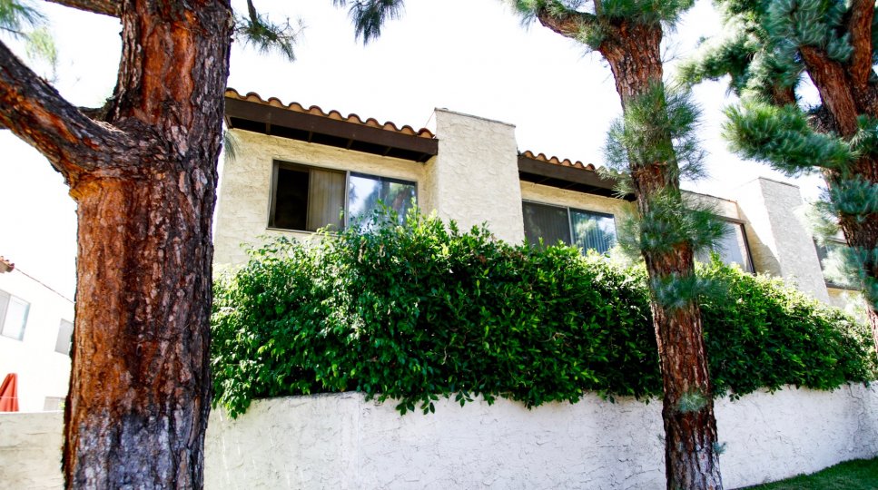 Panorama Ranchos Panorama City CA